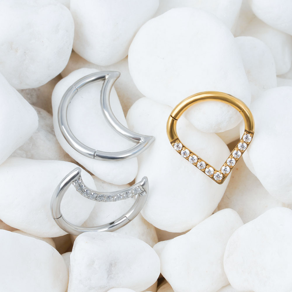 F136 Anillo de segmento de got - Body Jewelry Labret reseña y precio